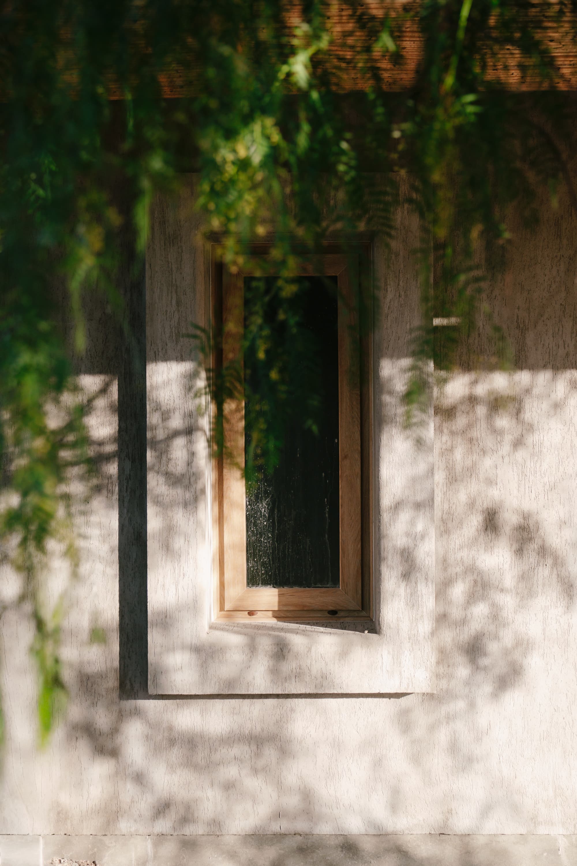 Ventana de madera entreabierta con plantas, dejando entrar el aire